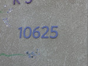 10625